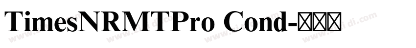 TimesNRMTPro Cond字体转换